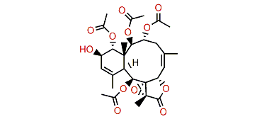 Stecholide J